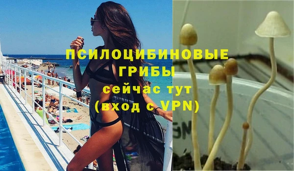 марки lsd Алексеевка