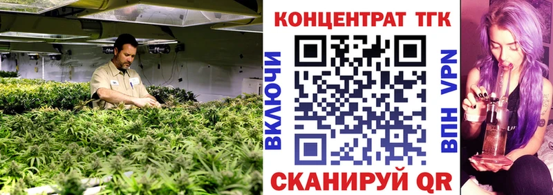 ТГК концентрат  Алексеевка 