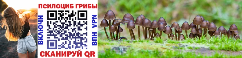 Галлюциногенные грибы MAGIC MUSHROOMS  сколько стоит  Алексеевка 