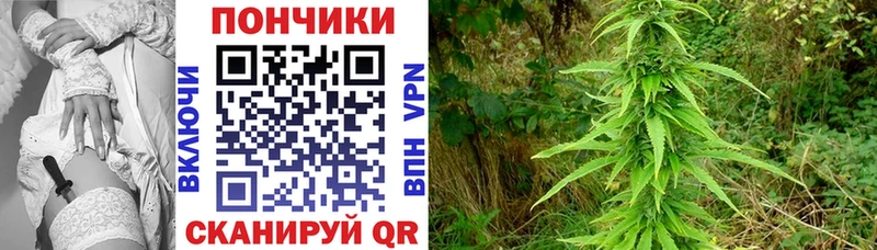 Бошки Шишки ГИДРОПОН  hydra   Алексеевка  где купить наркотик 